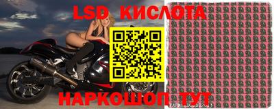 сатива Будённовск