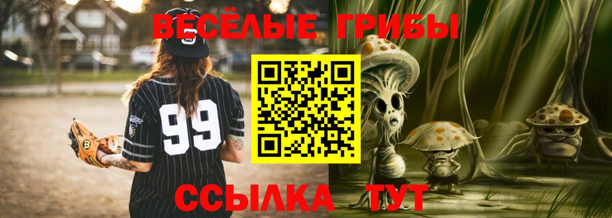 Галлюциногенные грибы мицелий Шуя