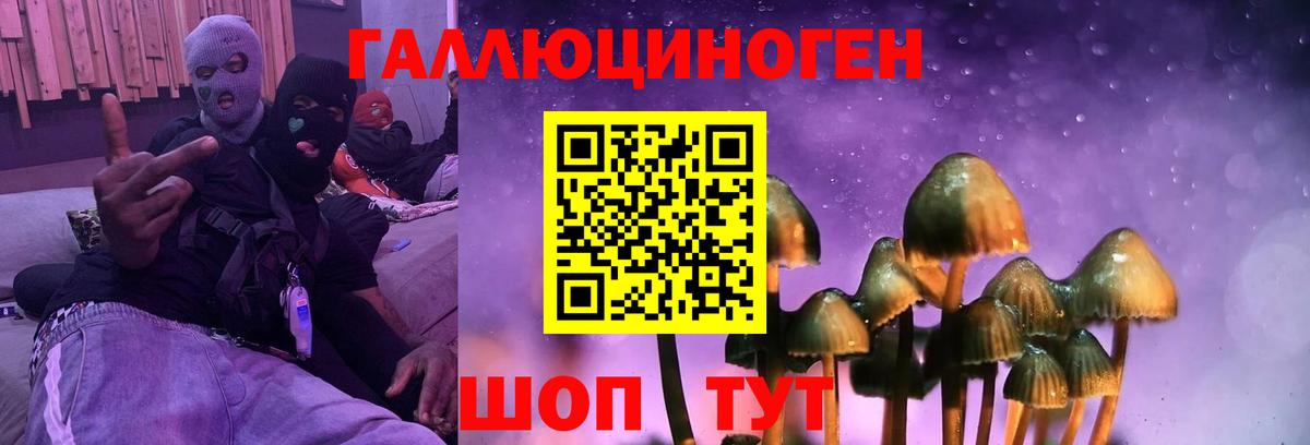 Псилоцибиновые грибы мухоморы  Вход с VPN  наркота  Шуя 